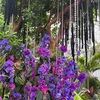 gaiasgallery